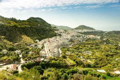 Фрихилиана