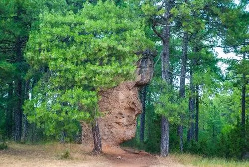 Камень в форме лица в Зачарованном городе