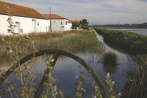 Рисовое поле в Компорте