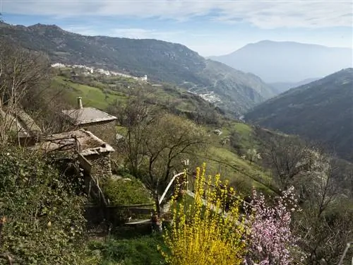 Ущелье Покейра в Капилейре