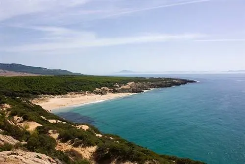 Кала де Арройо Кануэло возле пляжа Болония