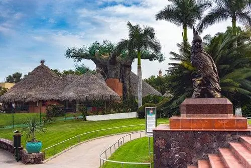 Лоро Парк, одно из мест, которые стоит увидеть на Тенерифе.