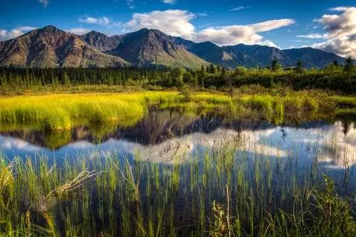 Фотографии Аляски, Денали Парк