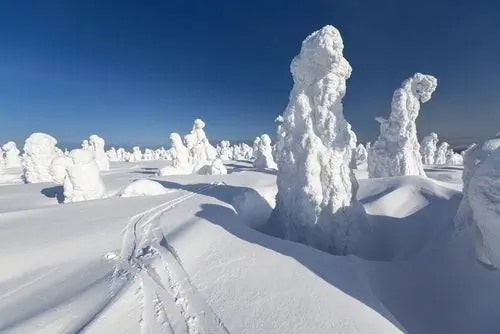 Финские Стражи