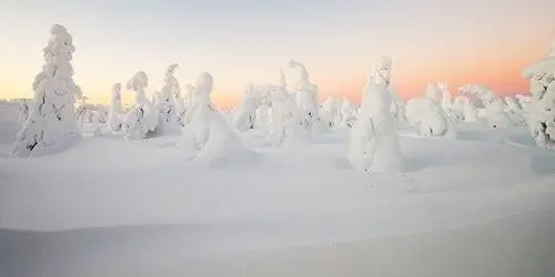 Финские Стражи