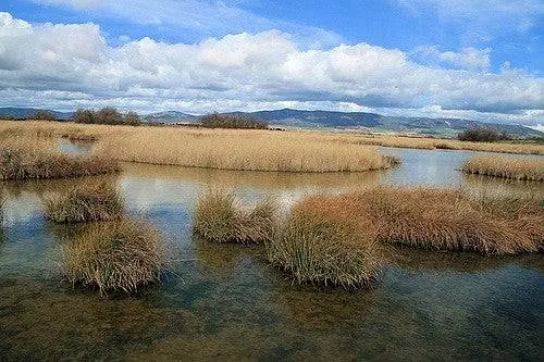 Столы Daimiel в Сьюдад-Реале