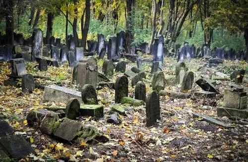 Варшавское еврейское кладбище Варшавское еврейское кладбище
