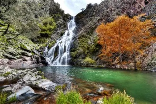 Овехуэла в Лас-Хурдес