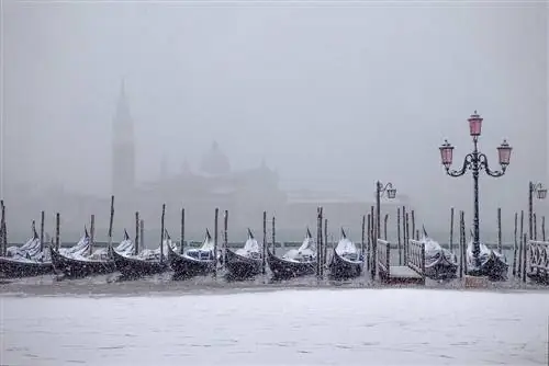 Погода в Венеции: зима и снег