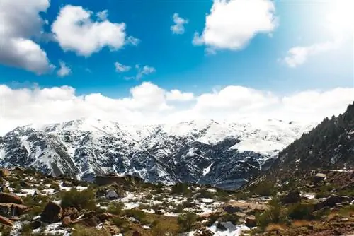 Горы Укаймеден в Марракеше