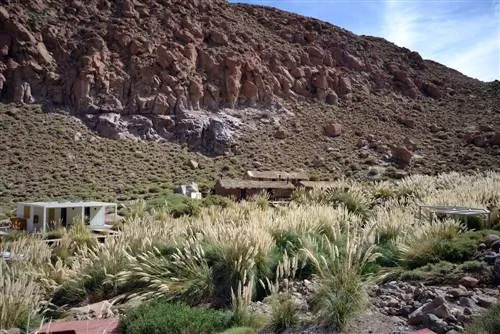 Горячие источники Пуритана в Сан-Педро-де-Атакама