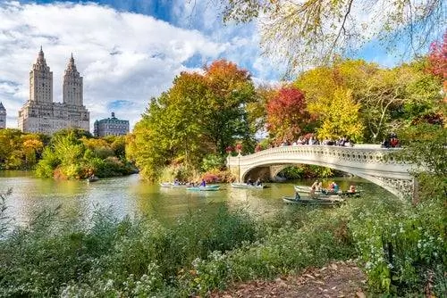 BowBridge в Центральном парке Нью-Йорка BowBridge в Центральном парке Нью-Йорка