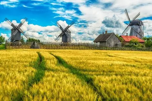 Остров Саарема в Эстонии, странах Балтии.