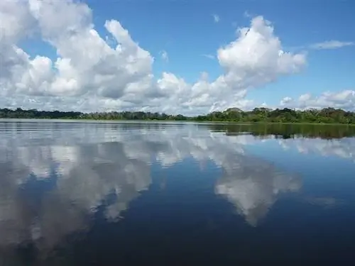Река Амазонка в Южной Америке