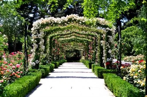 Розарий в Ретиро в Мадриде