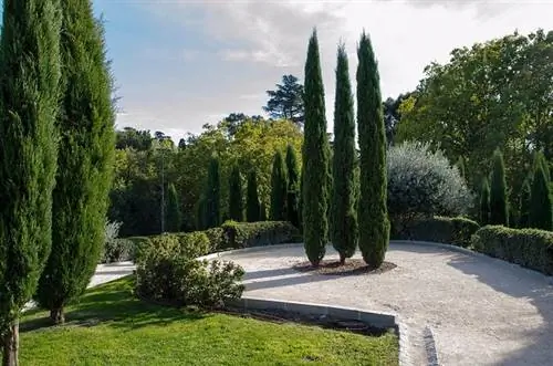 Лес памяти в Эль-Ретиро в Мадриде