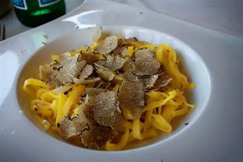 Еда возле Пизанской башни, тосканское блюдо