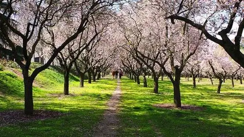 Кинта де лос Молинос в Мадриде