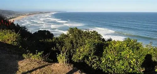 Садовый маршрут в Южной Африке