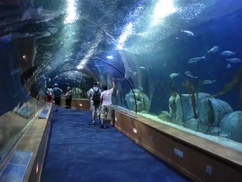 Океанография в Валенсии