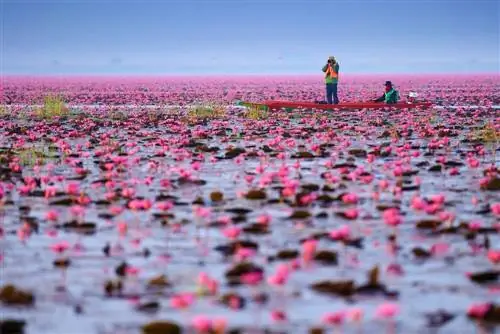 Нонг Хан в Таиланде