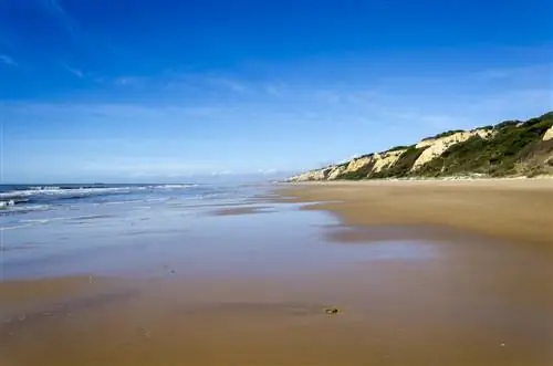 Мы отвезем вас на лучшие пляжи Уэльвы