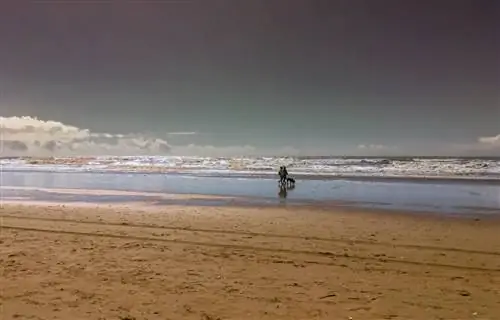 Пляжи Уэльвы: Эль Портиль