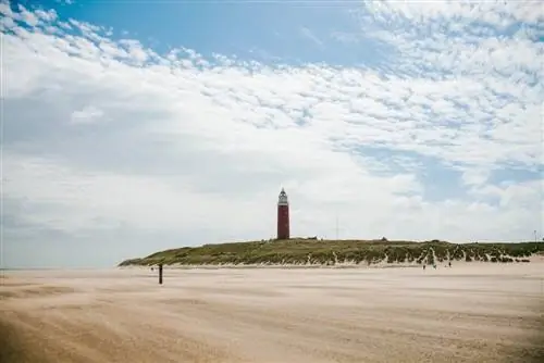 Европейские острова, Тексель в Нидерландах