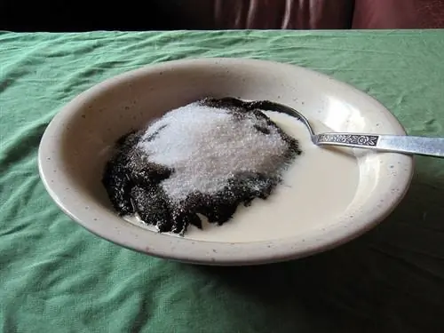 Мама в Финляндии.