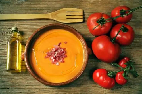 Гастрономический маршрут по Андалусии: вкусите богатую историю юга