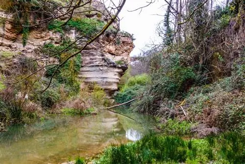 Альхама де Гранада