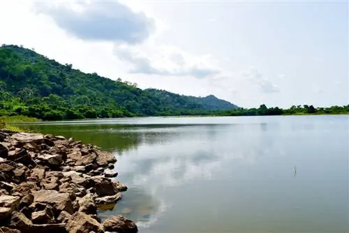 Давайте насладимся естественным туром по Нигерии