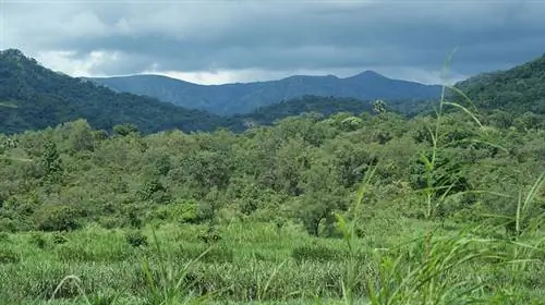 Гашака Гумти, важное место в естественном туре по Нигерии.