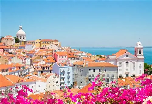 5 вещей, которые можно увидеть бесплатно в Лиссабоне