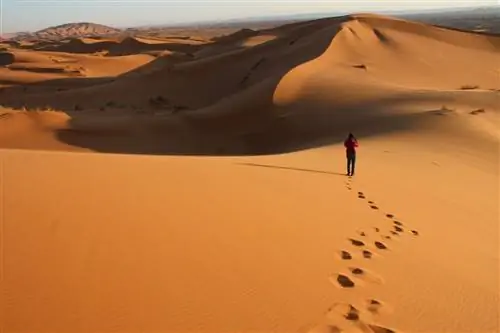 5 чудесных пустынь, которые стоит посетить