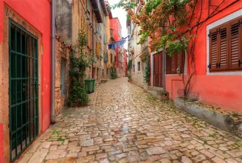 улица Ровинь