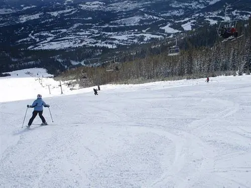 Биг Скай в США