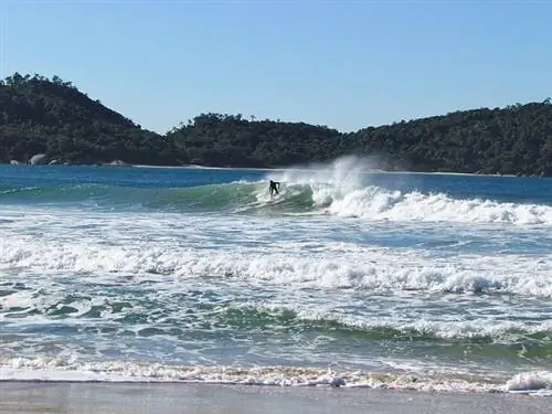 Флорианополис