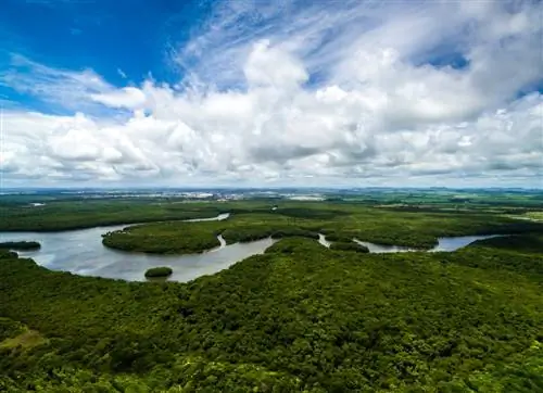Амазонка