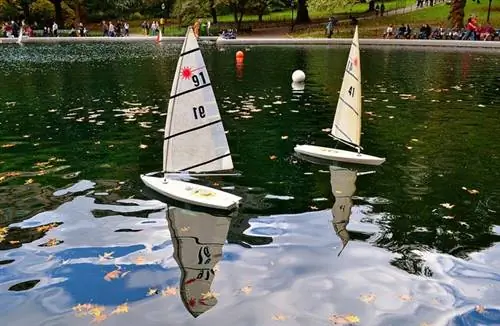 Вода в зимнем саду в Центральном парке Вода в зимнем саду в Центральном парке