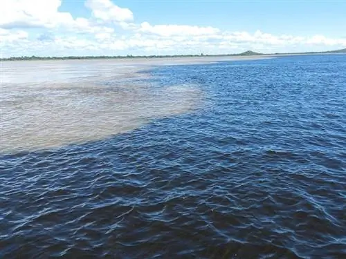 Реки Ориноко и Карони в Венесуэле.