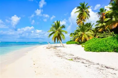 Пляж на Гаити