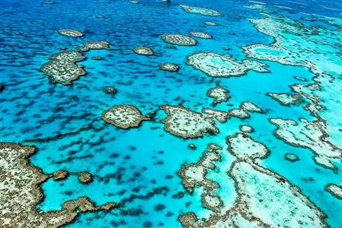 Большой Барьерный риф в Австралии