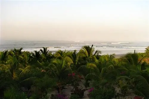 Кэп Скирринг в Сенегале