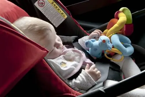 ребенок в машине