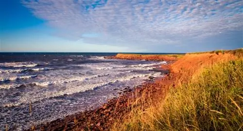 Остров Принца Эдуарда