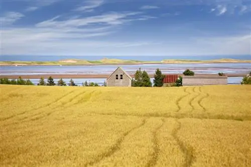 Поужинайте омарами на острове Принца Эдуарда в Канаде