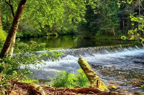 Пасео-дус-Наморадос Саргаделуш