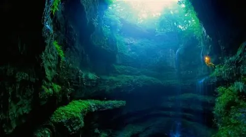 Сенот Яма Неверсинк