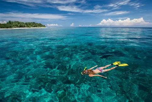 Снорклинг на островах Гили